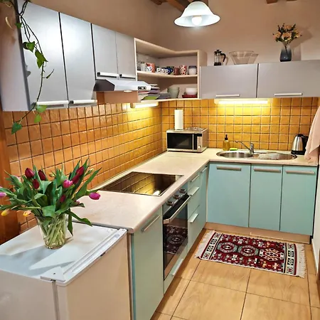 Frida Old Town With Private Parking شقة